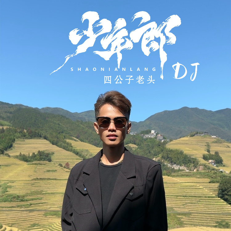 少年郎 (DJ版伴奏)
