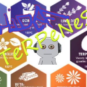 อัลบัม TeRPeNeS ศิลปิน HiDef