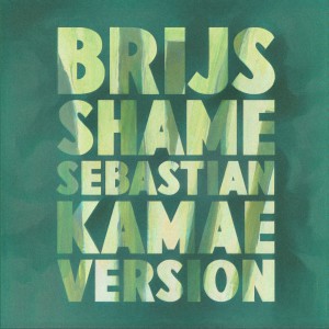 Album Shame (Sebastian Kamae Version) from Brijs
