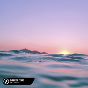 Listen to Theme of Tears song with lyrics from Dom B