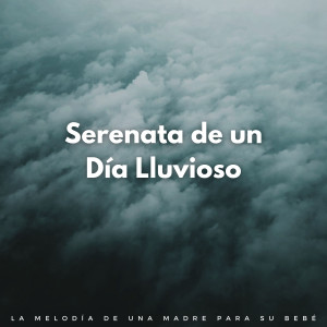 Album Serenata De Un Día Lluvioso: La Melodía De Una Madre Para Su Bebé from Sonidos de lluvia ACE