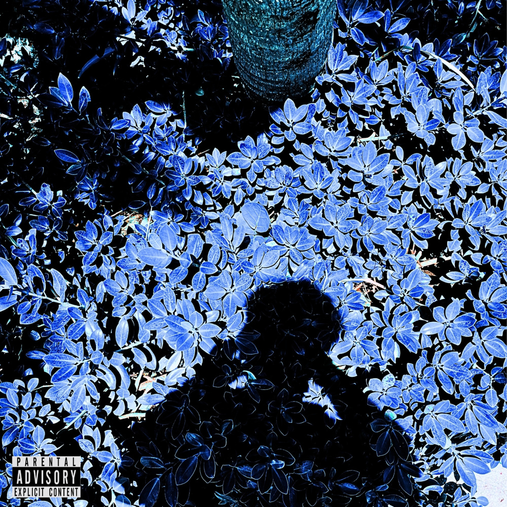 Blackened Frost (Explicit)