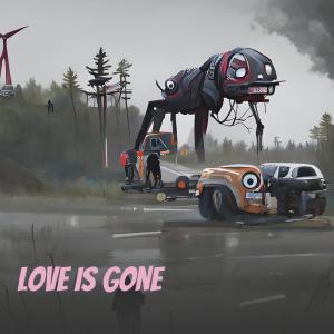 Album Love Is Gone oleh DJ Riz