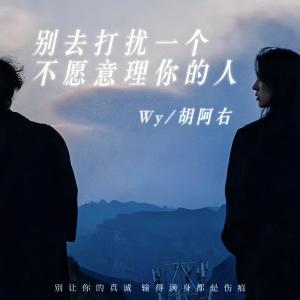 Album 别去打扰一个不愿理你的人 from 