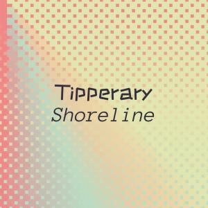 Various Artists的專輯Tipperary Shoreline