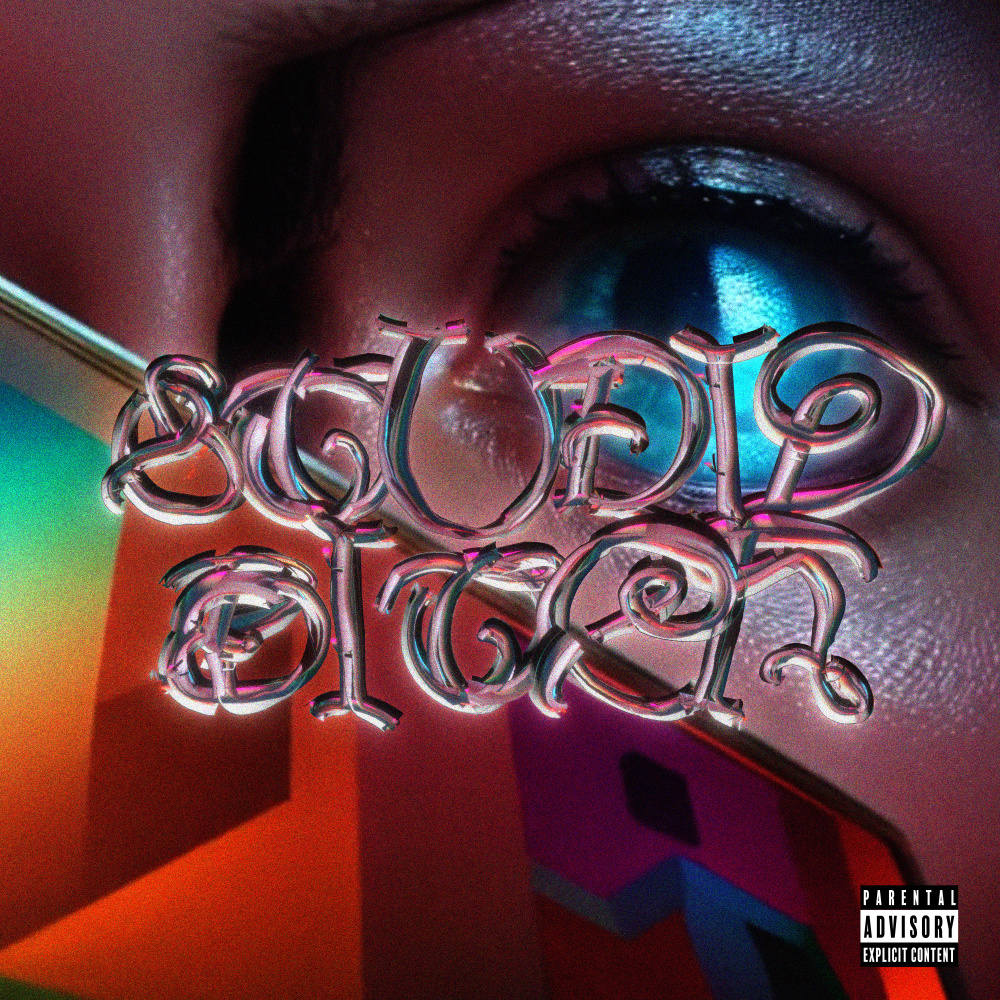 Stupid Bitch (Explicit)