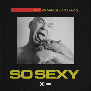 收聽Cat Dealers的So Sexy歌詞歌曲