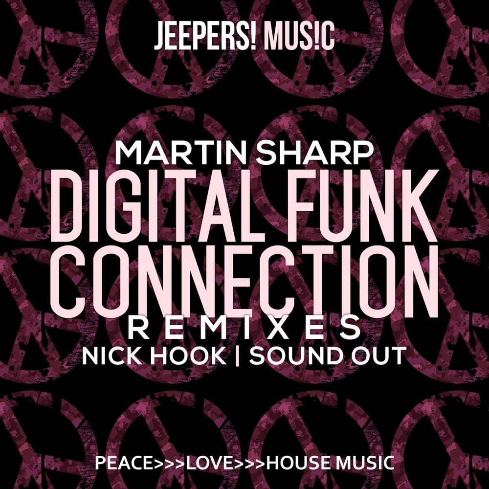 Digital Funk Connection (Sound Out Remix)