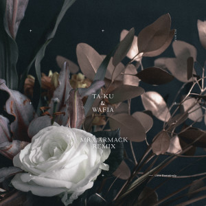 收听Ta-ku的Love Somebody (Mr. Carmack Remix)歌词歌曲