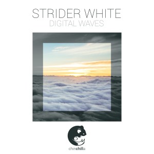 收聽Strider White的Digital Waves歌詞歌曲