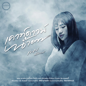 Album เคาท์ดาวน์น้ำตา - Single oleh เนย ภัสวรรณ พอดีม่วน