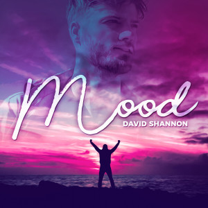 收聽David Shannon的Mood歌詞歌曲
