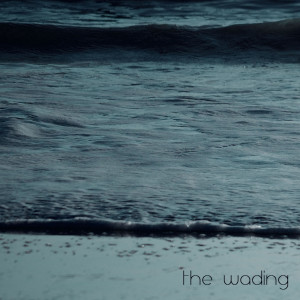 Listen to What More song with lyrics from The Wading