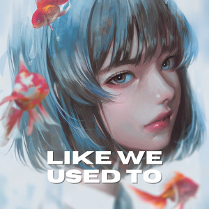 Album Like We Used To from RJT