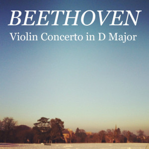 ดาวน์โหลดและฟังเพลง Violin Concerto in D Major, Op. 61: Allegro ma non troppo พร้อมเนื้อเพลงจาก Constantin Silvestri