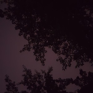 Listen to Lonely song with lyrics from Carv