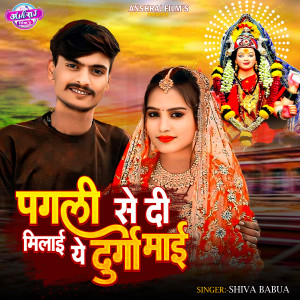 Listen to Pagli Se Di N Milai Ye Durga Mai song with lyrics from Shiva Babua