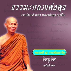 收听หลวงพ่อพุธ ฐานิโย的จิตดูจิต ตอนที่ 2歌词歌曲