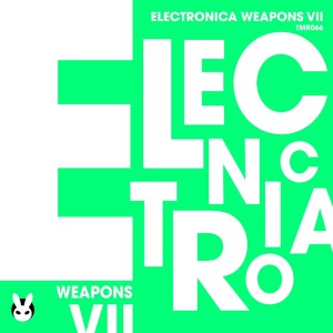 Various Artists的專輯Electronica Weapons VII