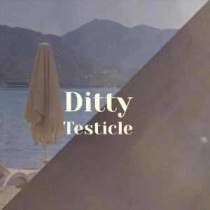Album Ditty Testicle oleh Various Artists