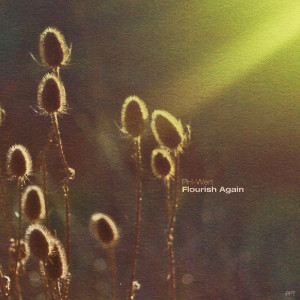 Album Flourish Again from POSTPARTUM.