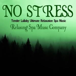 ดาวน์โหลดและฟังเพลง SPA Relaxation พร้อมเนื้อเพลงจาก Relaxing SPA Music Company