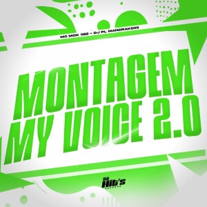 Album Montage My Voice 2.0 (Explicit) from 