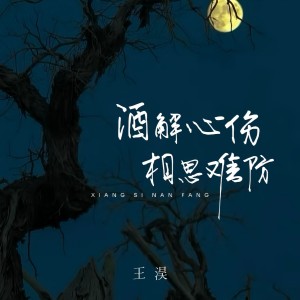 Listen to 酒解心伤相思难防 (完整版) song with lyrics from 王淏