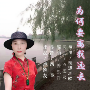 Album 为何要离我 远去(女版) from 桃源恋歌
