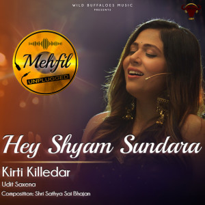Udit Saxena的專輯Hey Shyam Sundara (Mehfil Unplugged)