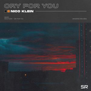 ดาวน์โหลดและฟังเพลง Cry for You พร้อมเนื้อเพลงจาก Nico Klein