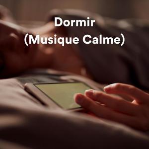 Dengarkan Musique calme pour dormir, pt. 1 lagu dari Ambiente dengan lirik