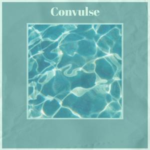 Various的专辑Convulse