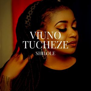 Listen to Viuno Tucheze song with lyrics from Shilole