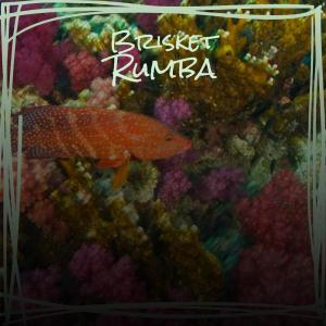 Album Brisket Rumba from Various