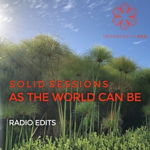 Solid Sessions的專輯As the World Can Be (Radio Edits)
