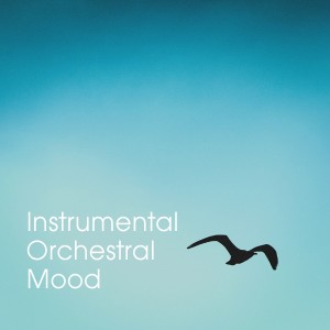 Album Instrumental Orchestral Mood oleh Relaxation Study Music