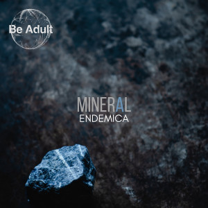Dengarkan Mineral lagu dari Endémica dengan lirik