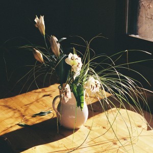 收聽The Boy from the South的Home歌詞歌曲