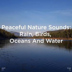 Dengarkan Piano Nature Sounds lagu dari Deep Sleep dengan lirik