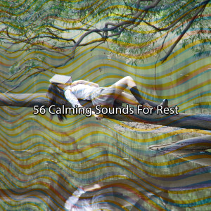 ดาวน์โหลดและฟังเพลง Goodnight World พร้อมเนื้อเพลงจาก Sleepy Sounds