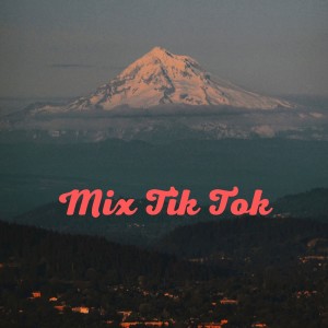 Album Tik Tok Edition from Dj Star