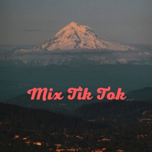 Listen to Tik Tok Edition song with lyrics from Dj Star