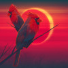 default album img