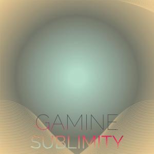 Various Artists的專輯Gamine Sublimity