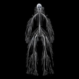 Listen to Nervous (Explicit) song with lyrics from SPLASHWOE