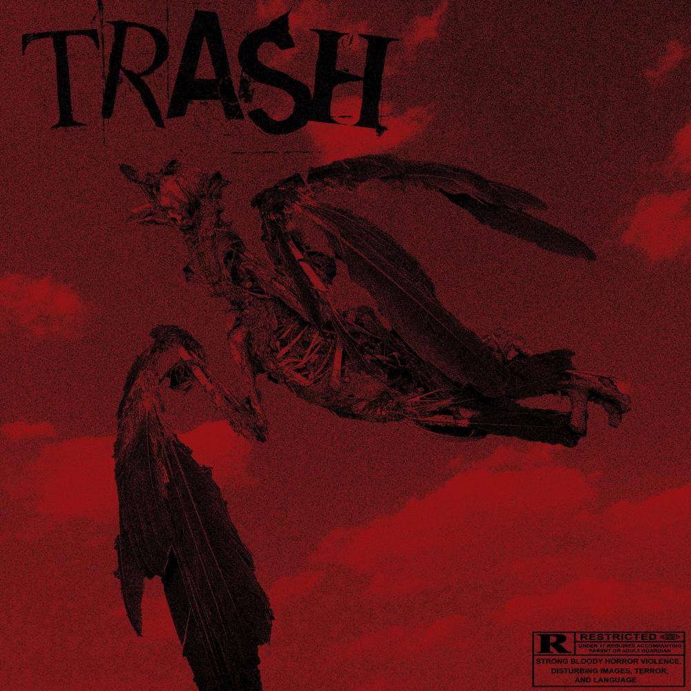 DESATURATED (feat. Dovahnoface, Iggy Jones, Mxtxbbyghost & Aspekt) (Explicit)