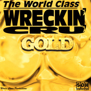 ดาวน์โหลดและฟังเพลง Surgery (Dr. Dre) พร้อมเนื้อเพลงจาก World Class Wreckin' Cru