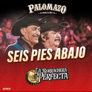 Album Seis Pies Abajo (En Vivo) from 