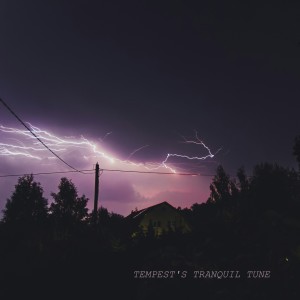 Thunderstorm Sound Bank的專輯Tempest's Tranquil Tune